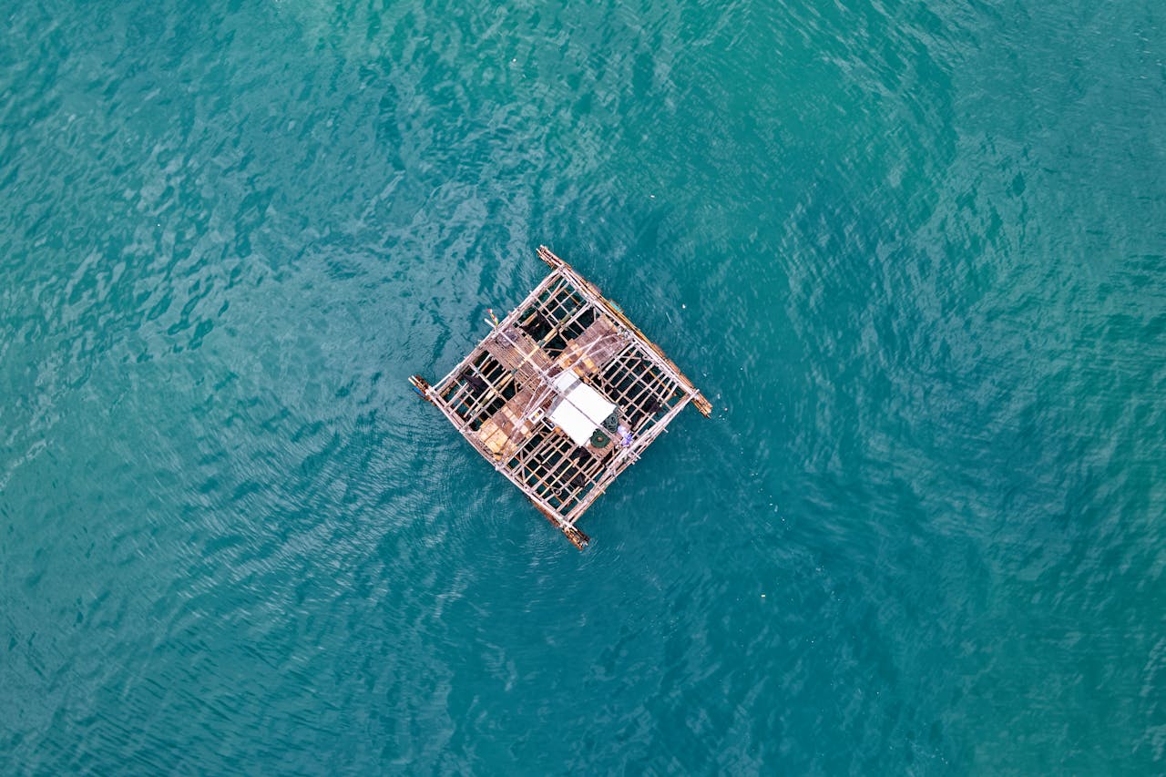 Flossbau auf dem Wasser